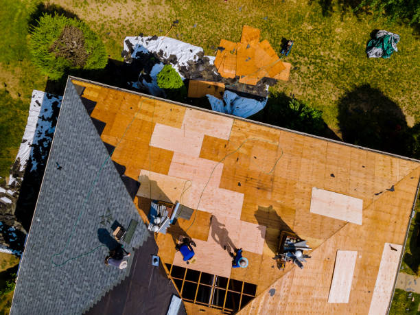 Quick and Trustworthy Emergency Roof Repair Services in Highland City, FL